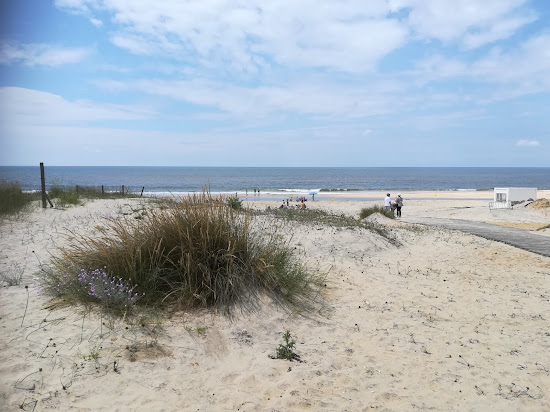 Playa del Coto
