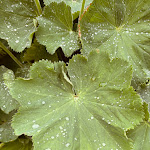 Photo n°1 de l'avis de Hundertsassa. fait le 16/06/2022 à 18:10 sur le  Café Zuckerkuss à Ummanz