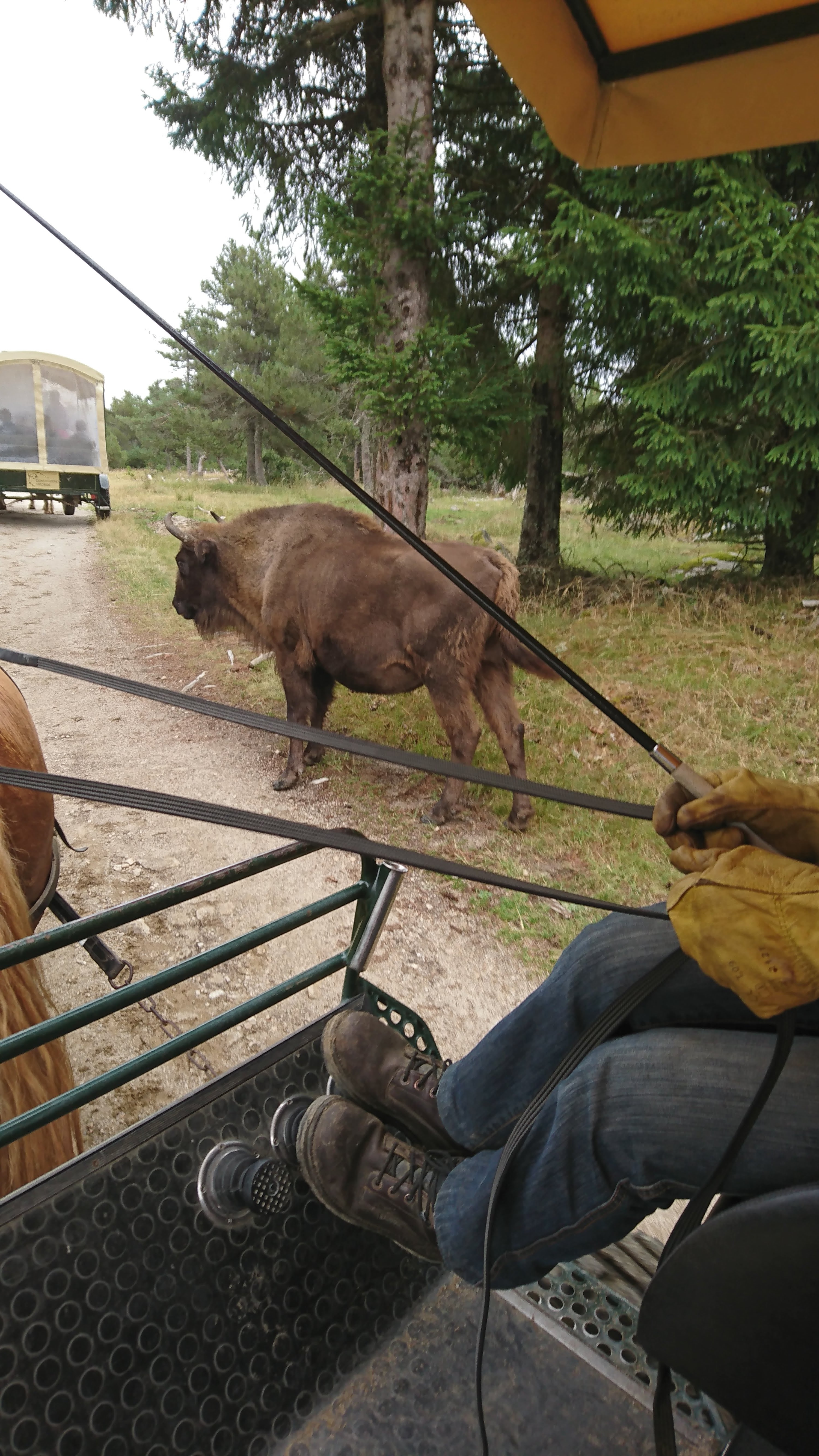 Photo n° 3 de l'avis de Bernard.l fait le 16/08/2019 à 10:01