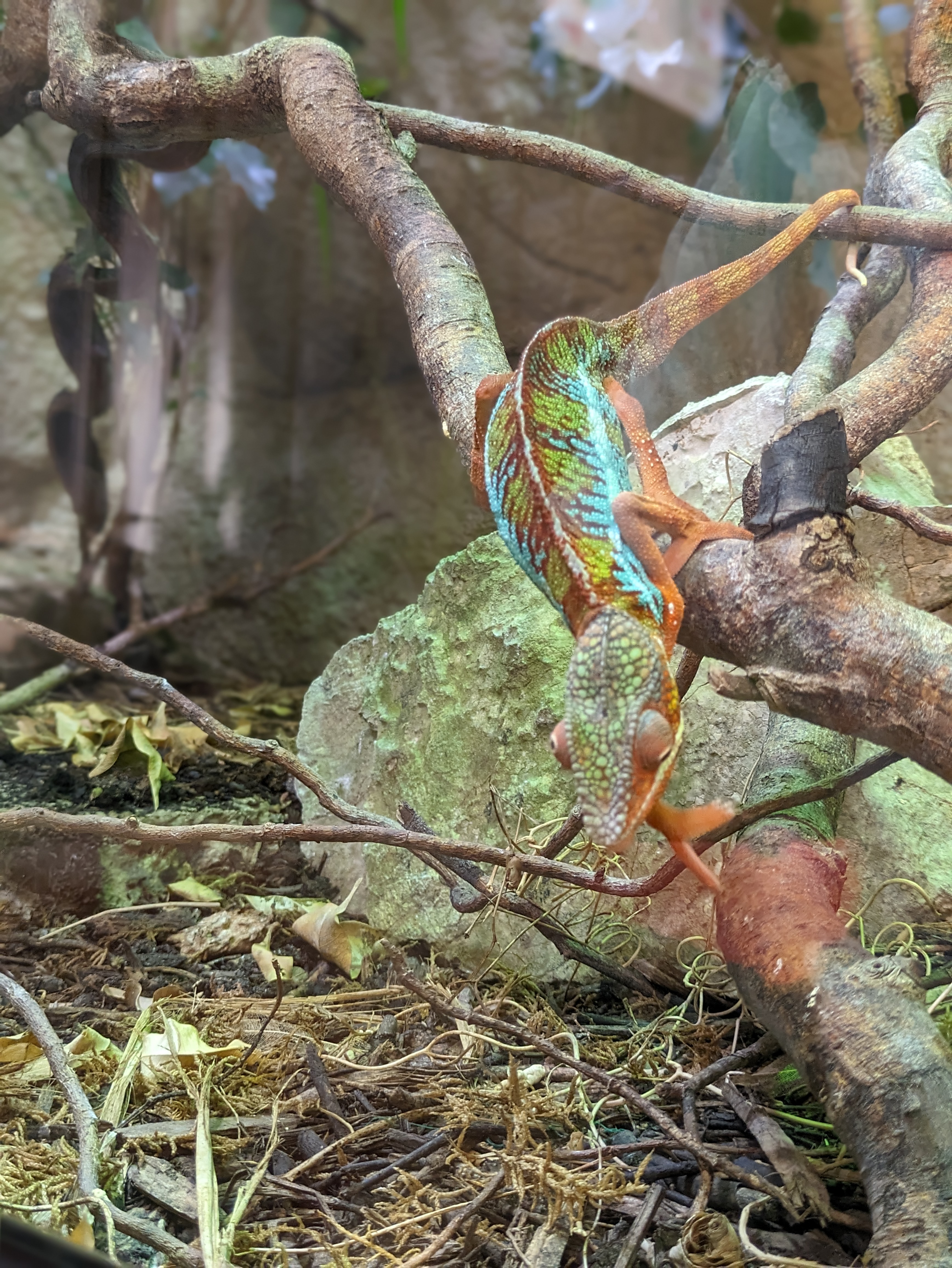 Photo n° 1 de l'avis de elodie.e fait le 12/08/2023 à 15:47