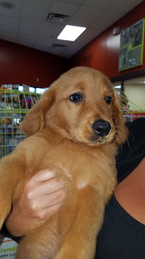 Pet Store «Petland», reviews and photos, 5470 Dixie Hwy, Fairfield, OH 45014, USA