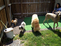 Shear Magic Pet Groom & Grocery - Photo 7 - Car repair in Maitland, FL, Orlando