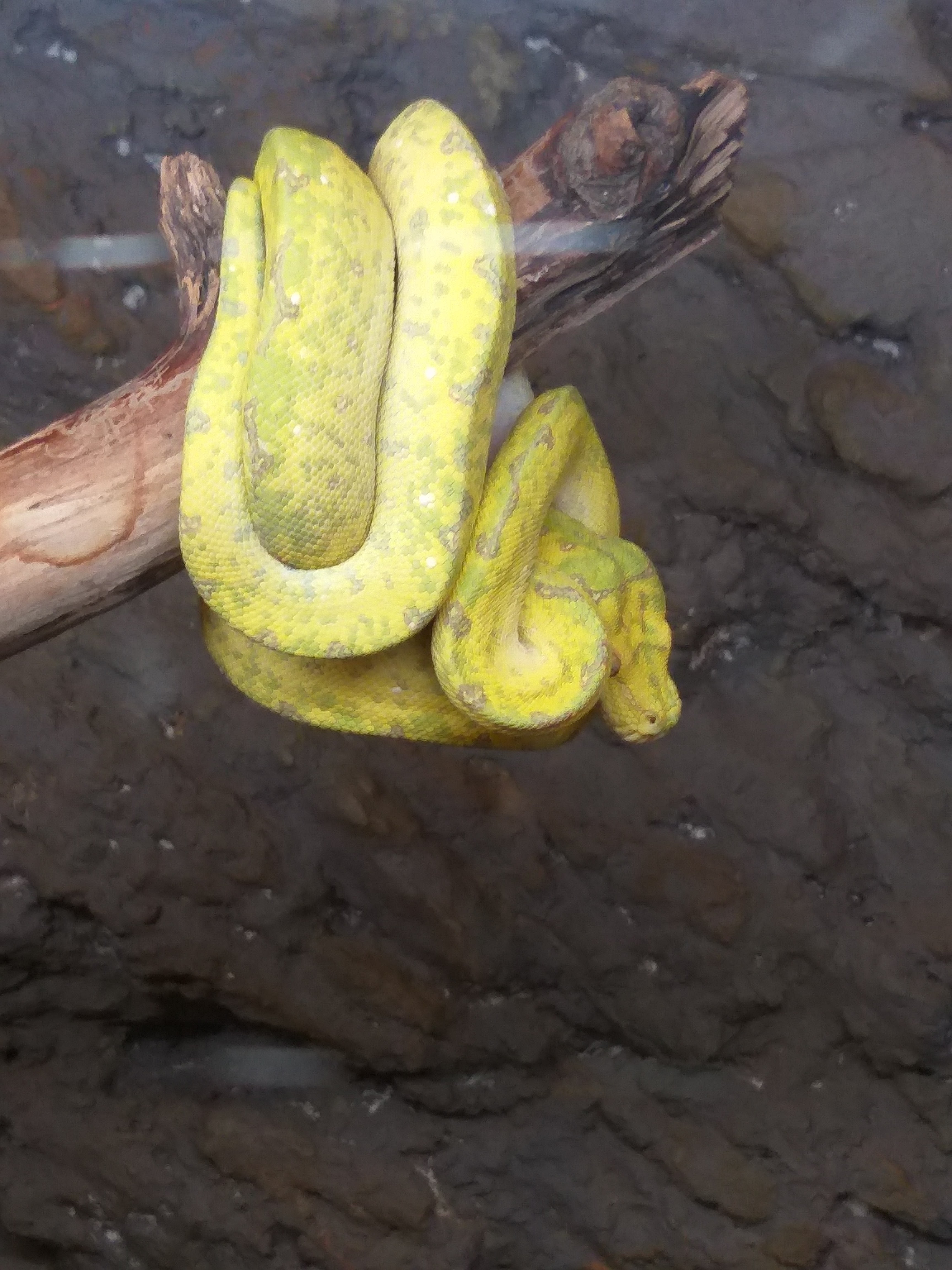 Photo n° 2 de l'avis de martine.a fait le 28/04/2019 à 14:59