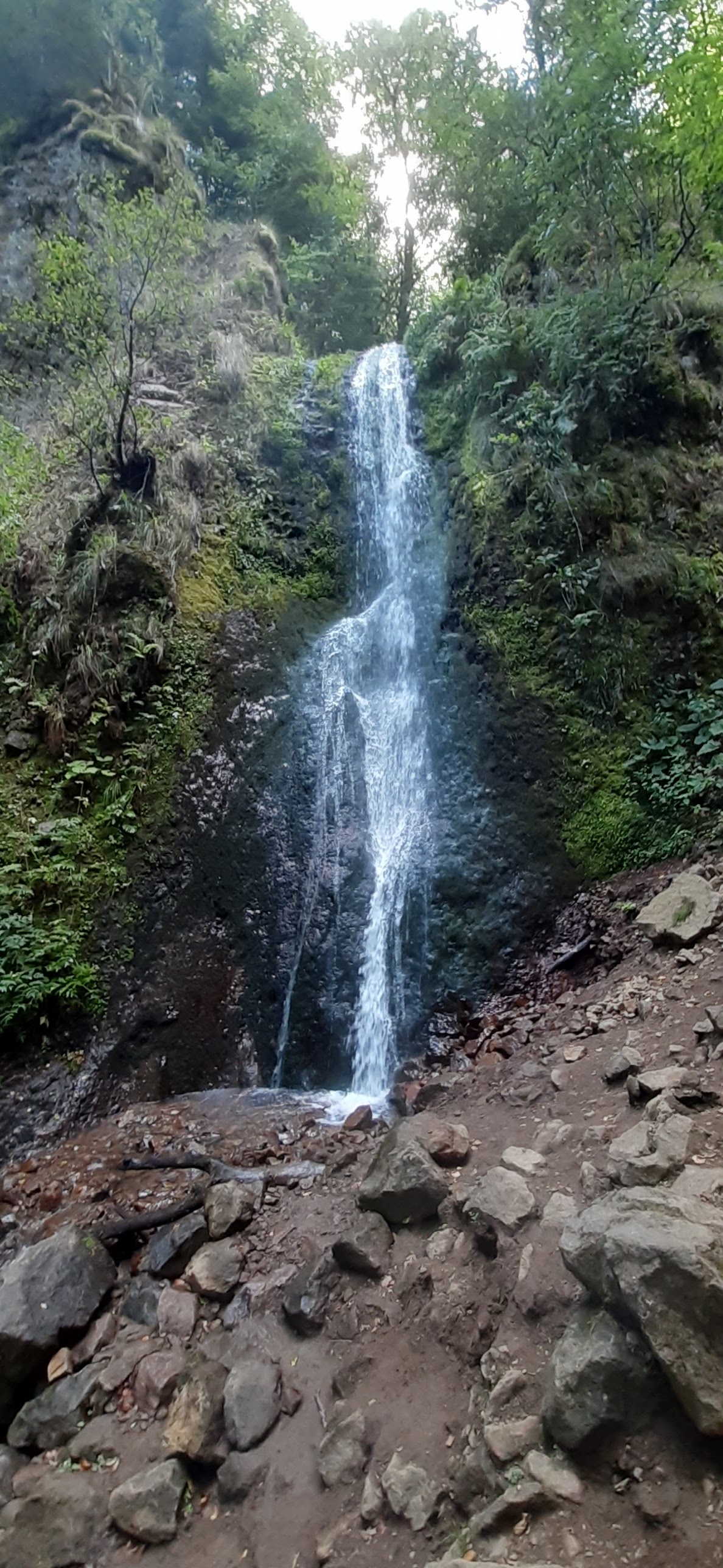 Photo n° 2 de l'avis de A. fait le 25/08/2022 à 11:47