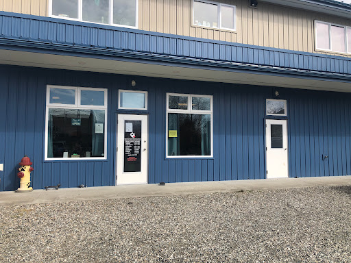 Island to Island Pet Boutique image