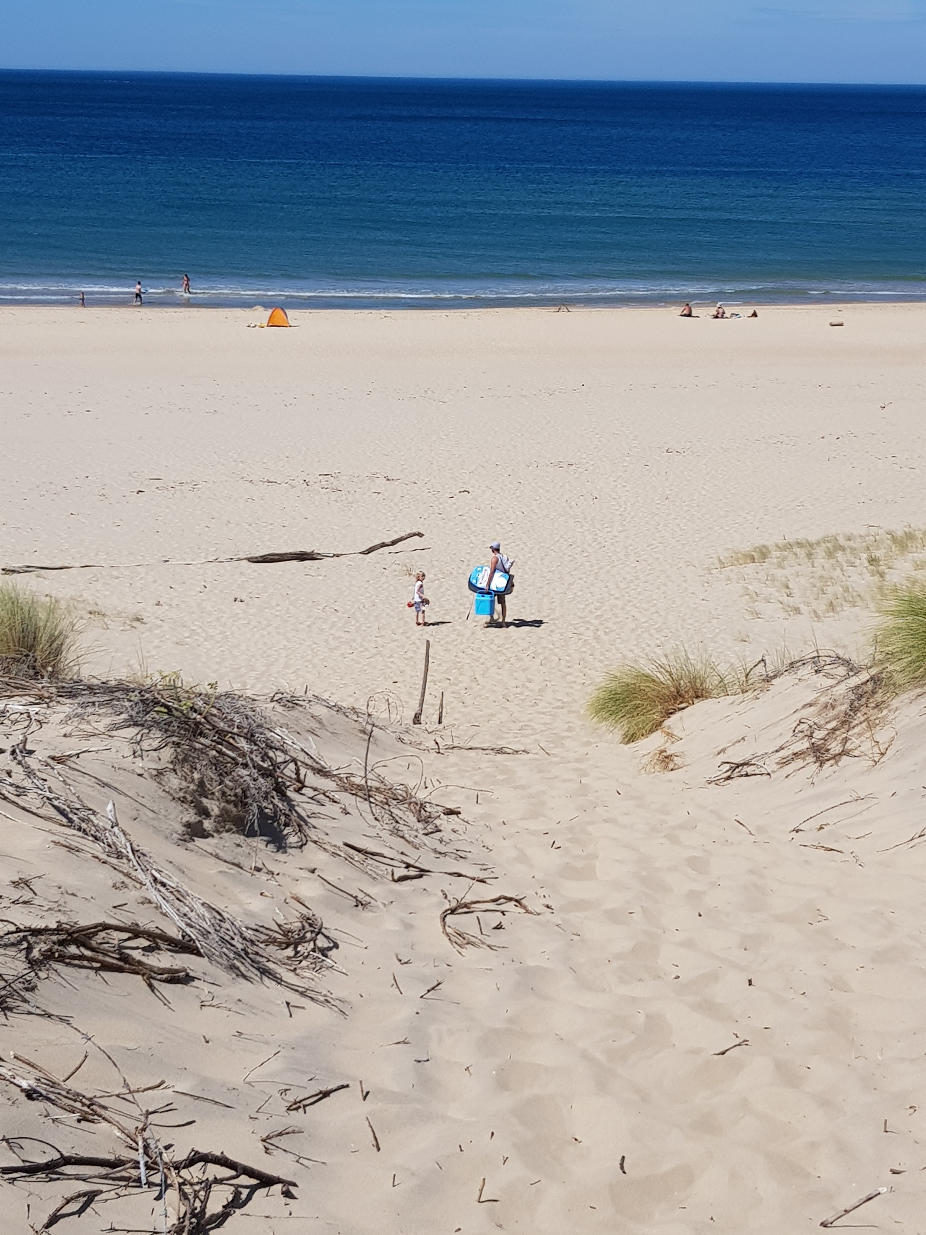 Photo n° 1 de l'avis de Rose.a fait le 12/08/2022 à 12:53