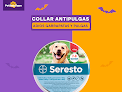 Best Dog Clothes Shops In San Salvador Near You