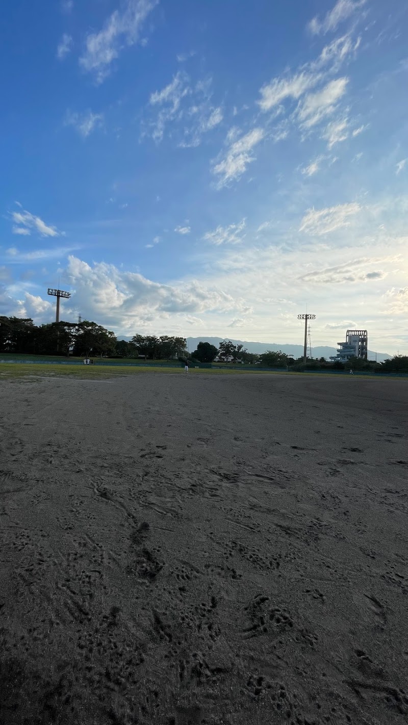 橿原運動公園軟式野球場