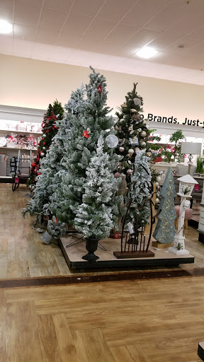 Department Store «HomeGoods», reviews and photos, 680 Connecticut Ave, Norwalk, CT 06854, USA