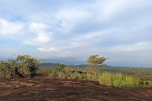 Thodukappu Kunnu Eco Tourism image