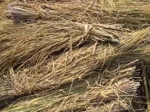 सब्जी मंडी गोरखपुर