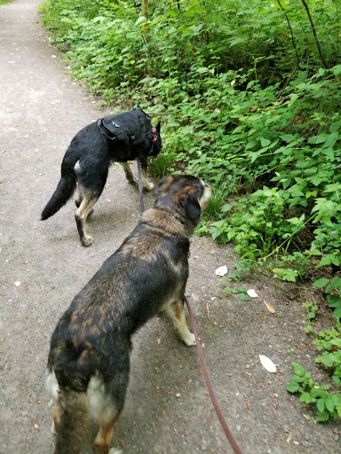 Nature Preserve «Lowami Hart Woods Natural Area», reviews and photos, 14895 SW Hart Rd, Beaverton, OR 97007, USA