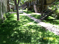Timco Services Lawn and Landscapes - Photo 5 - Car repair in , Lubbock