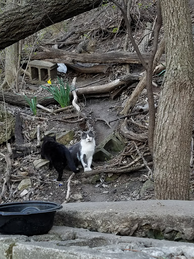 Park «Billie Limacher Bicentennial Park», reviews and photos, 201 W Jefferson St, Joliet, IL 60432, USA