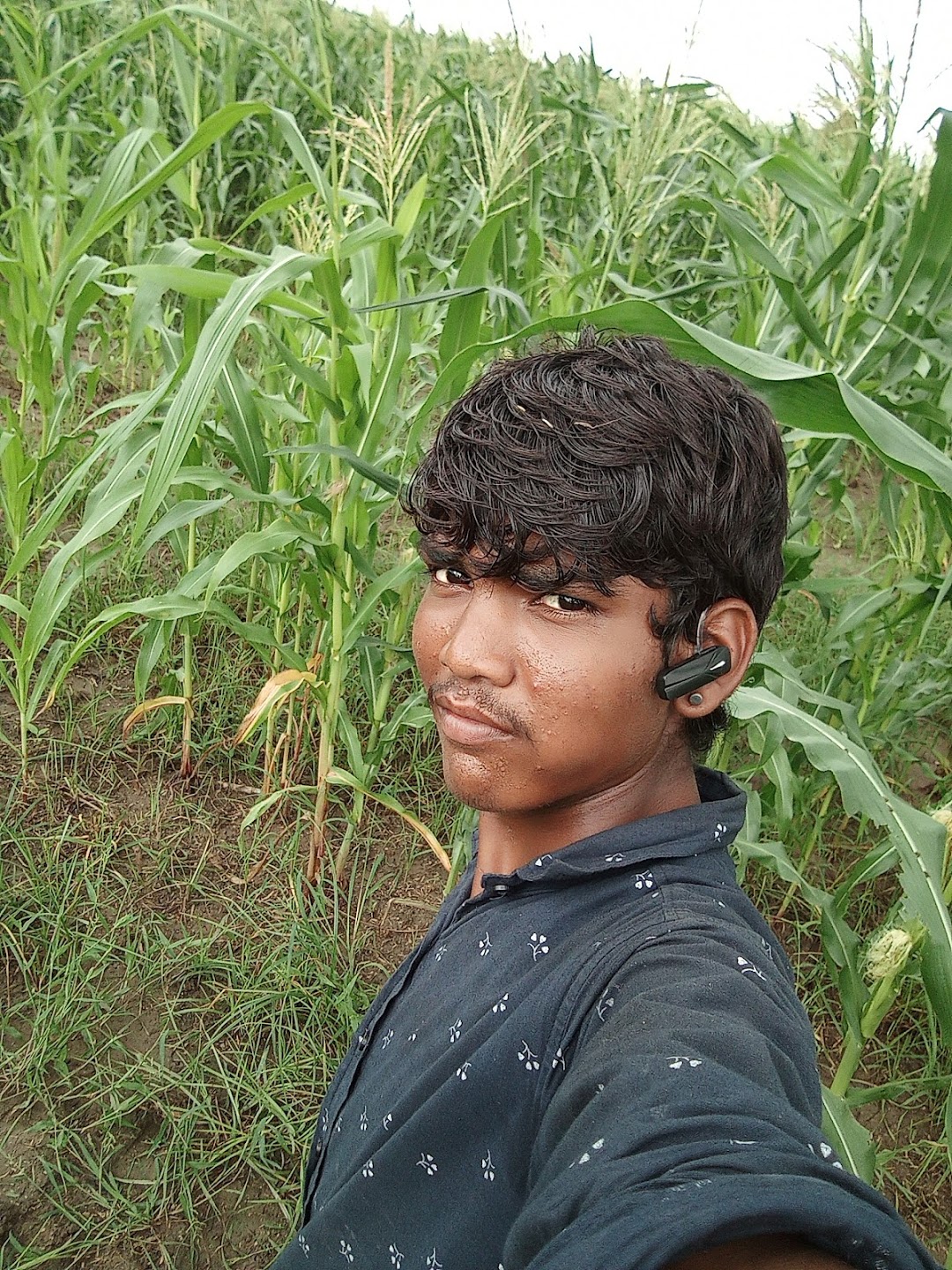 Temple