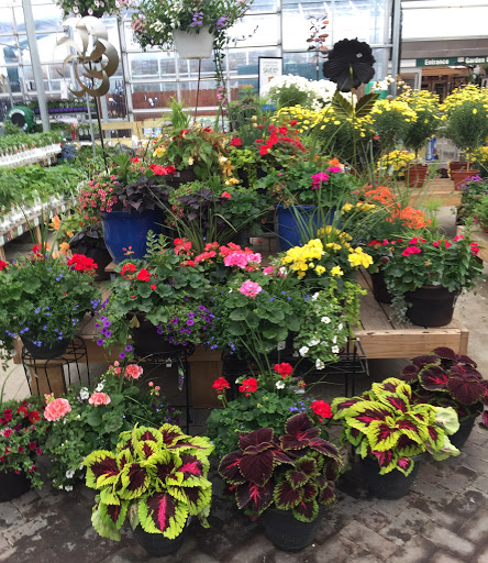 Garden Center «English Gardens», reviews and photos, 44850 Garfield Rd, Charter Twp of Clinton, MI 48038, USA