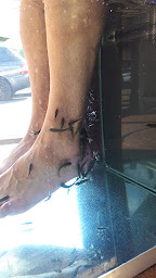 Photo n°17 de Fish Massage Marseillan-Plage à Marseillan ()