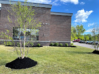 Top Shelf Landscaping - Photo 8 - Car repair in , Buffalo