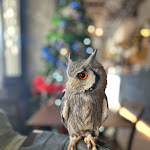 Photo n°5 de l'avis de Giacomo.o fait le 10/12/2023 à 13:18 sur le  Binario Magic Pub à Palazzago