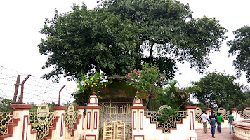 Dakshineswar Kali Temple - Panchavati Park Photos