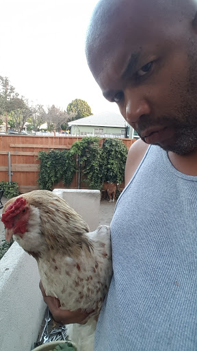 Animal Feed Store «All Pet Feed & Tack», reviews and photos, 25598 E Baseline St, San Bernardino, CA 92410, USA