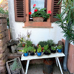 Photo n°8 de l'avis de Michael.i fait le 15/09/2019 à 17:35 sur le  Landrestaurant Burrweiler Mühle à Burrweiler