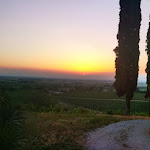 Photo n°2 de l'avis de Alex. fait le 18/06/2022 à 21:44 sur le  Trattoria Alla Pineta à Cividale del Friuli