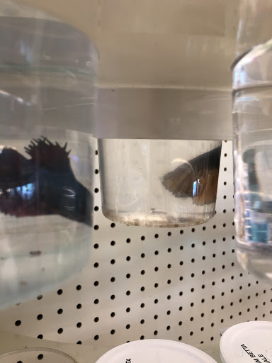 Pet Supply Store «PetSmart», reviews and photos, 291 Skokie Blvd, Northbrook, IL 60062, USA