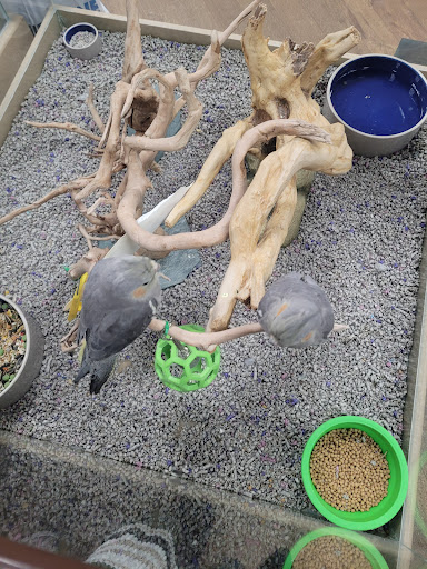 Pet Store «Petland Lancaster», reviews and photos, 1400 River Valley Cir N, Lancaster, OH 43130, USA