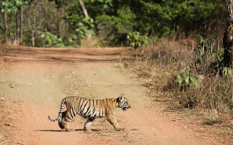 Pauni Karhandla Wildlife Sanctuary And Tiger Reserve image