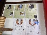 里親さがし猫カフェ おっぽ