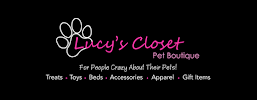 Lucy's Closet - Photo 4 - Car repair in Neenah, WI, Appleton