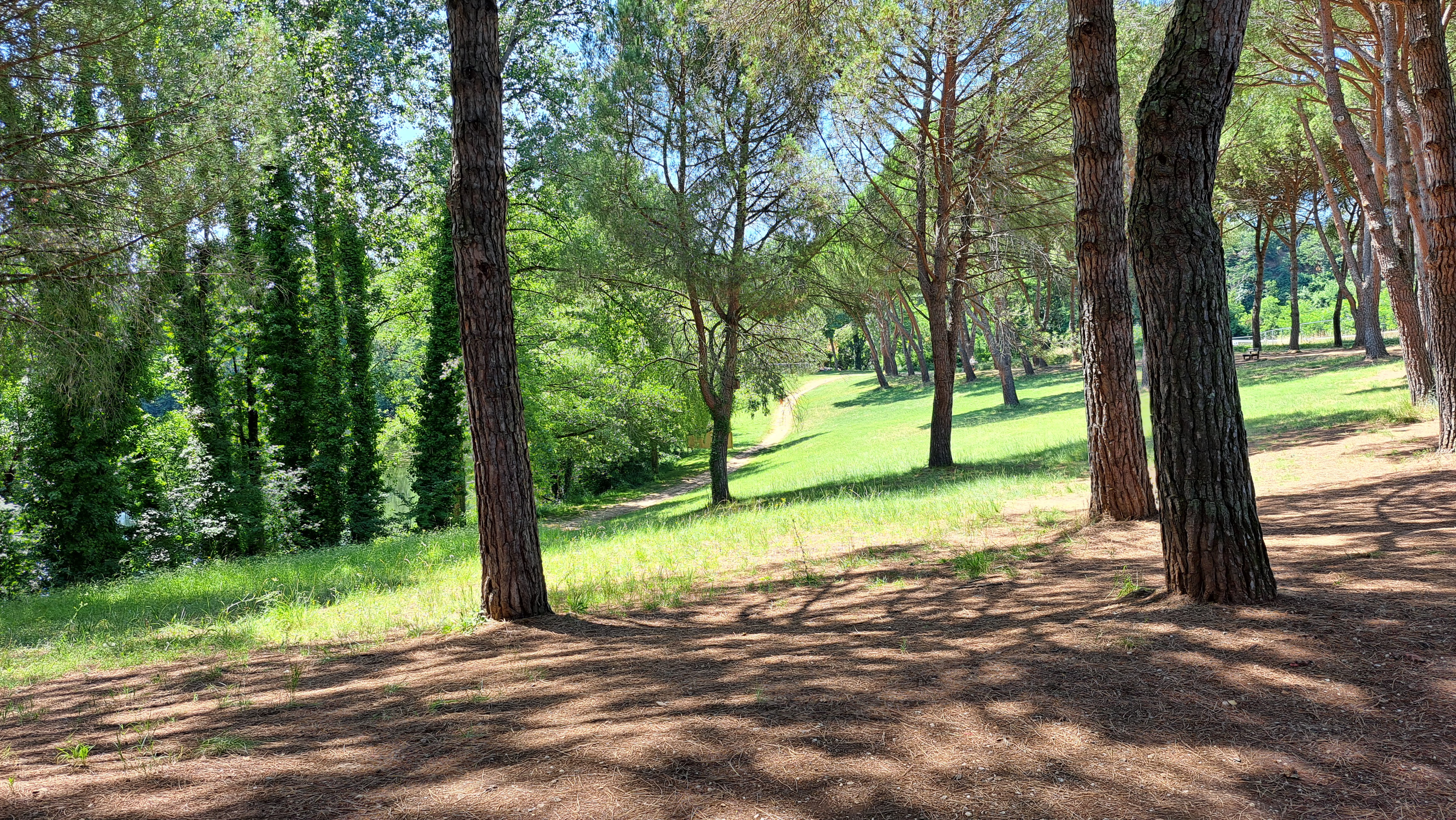 Photo n° 2 de l'avis de Henri.a fait le 18/07/2023 à 11:04