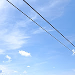 Photo n°4 de l'avis de Lisa-Marie.� fait le 18/08/2023 à 21:48 sur le  Schliersberg Alm à Schliersee