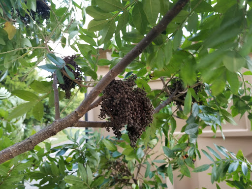 Campground «Camp Gateway - Sandy Hook», reviews and photos, 26 Hudson Rd, Highlands, NJ 07732, USA