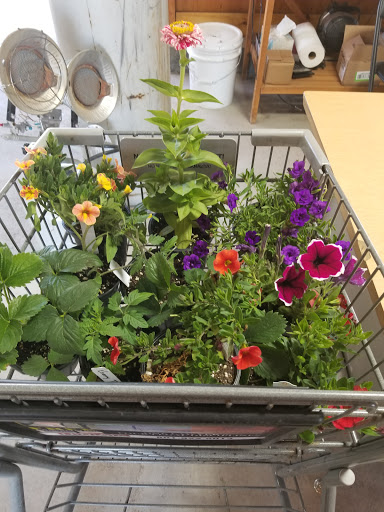 Produce Market «Kuwahara Farms», reviews and photos, 736 12300 S, Draper, UT 84020, USA