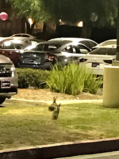 Honda Dealer «AutoNation Honda Valencia», reviews and photos, 23551 Magic Mountain Pkwy, Valencia, CA 91355, USA