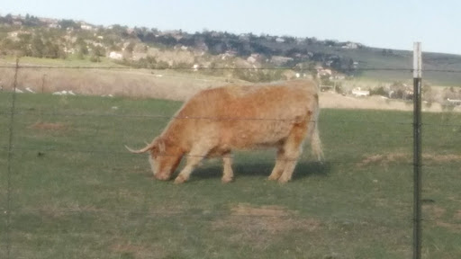 Cable Company «Digicomm International Inc.», reviews and photos, 1 Digicomm Dr, Englewood, CO 80112, USA