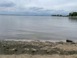 Photo de Magnus Beach zone sauvage