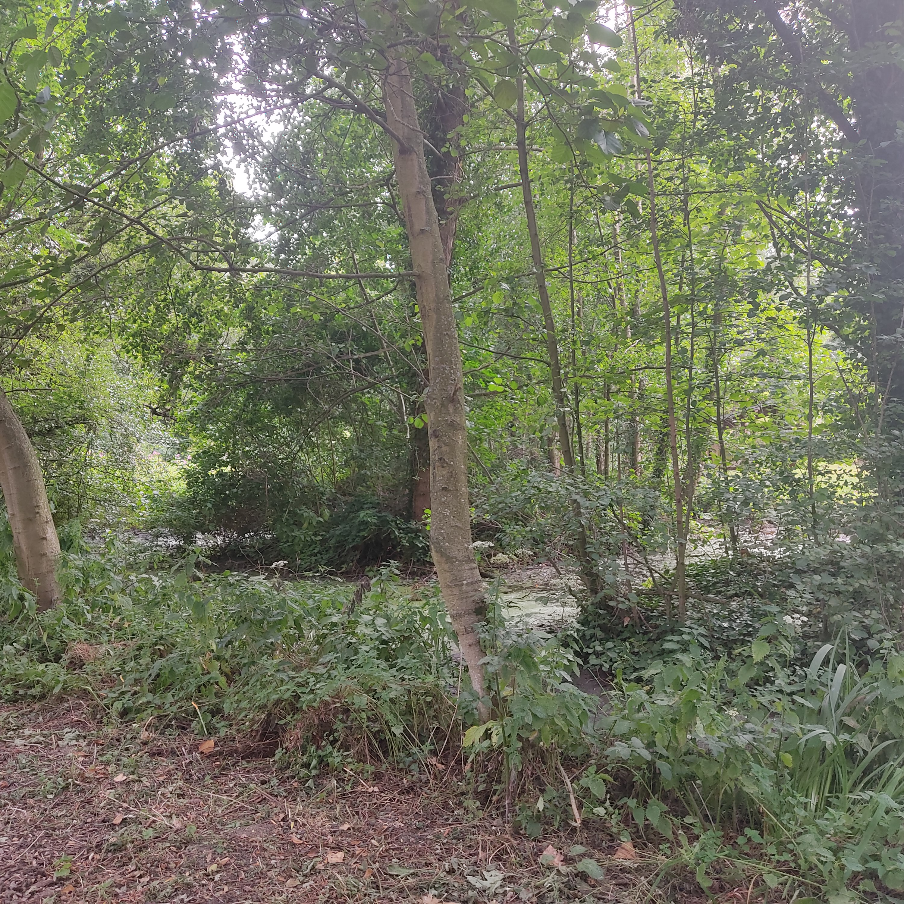 Photo n° 13 de l'avis de Café.a fait le 28/07/2022 à 17:38