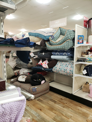 Department Store «HomeGoods», reviews and photos, 154 Park Ave, Willow Grove, PA 19090, USA