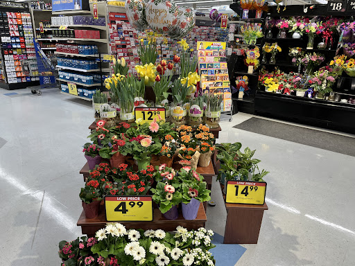 Grocery Store «Jay C», reviews and photos, 601 S Main St, Salem, IN 47167, USA