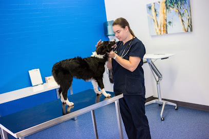 River Country Animal Emergency Centre
