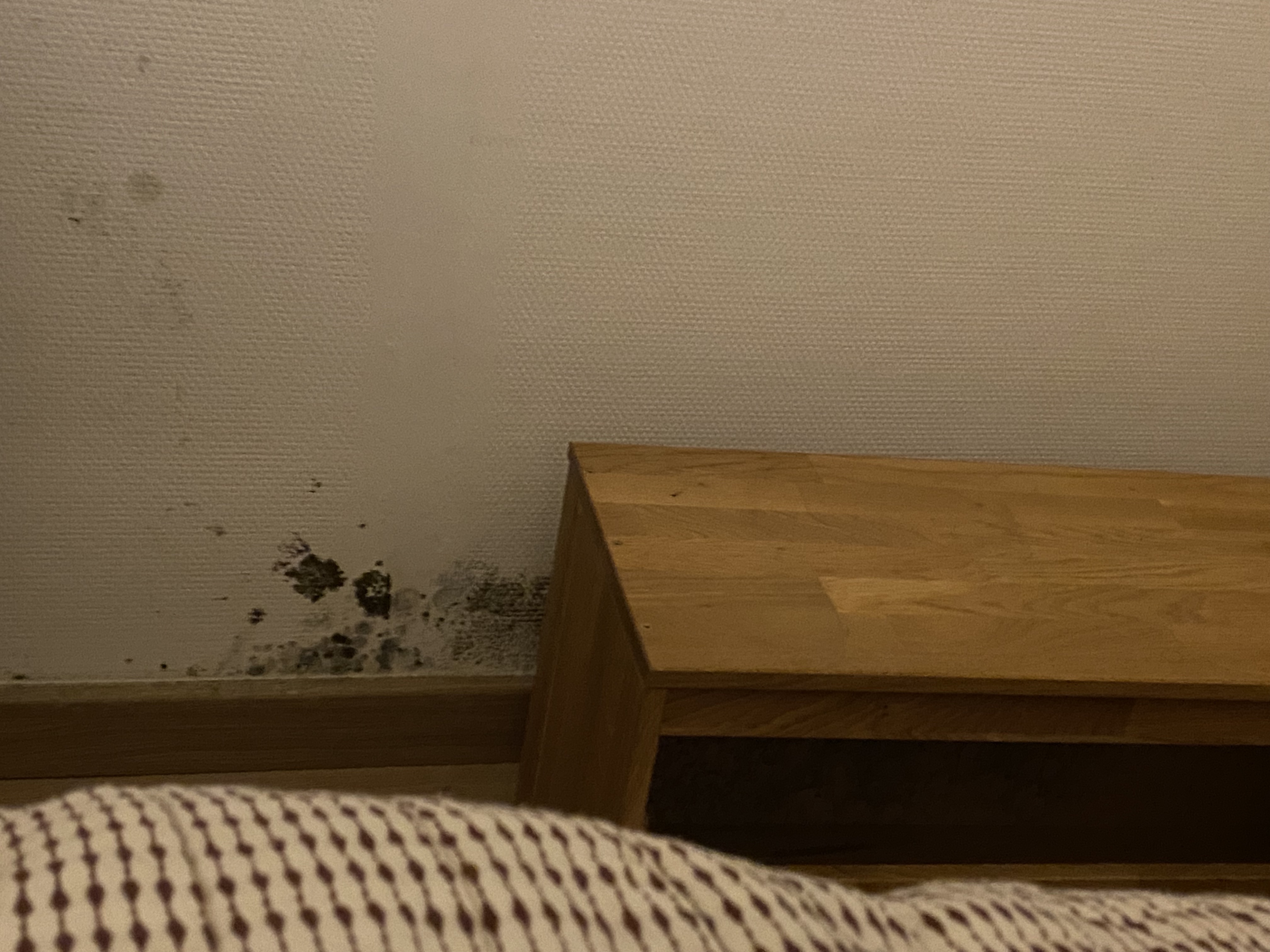 Photo n° 3 de l'avis de Chloé.e fait le 09/12/2023 à 16:57