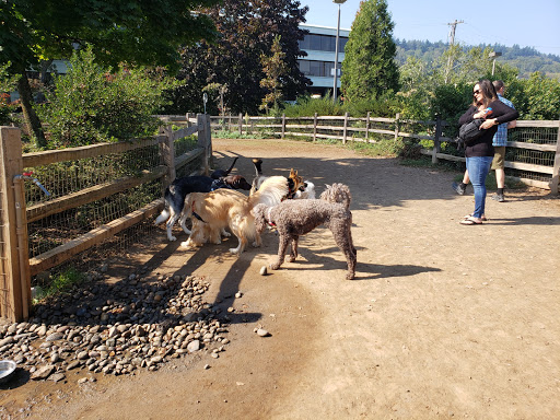 Willamette Park Dog Park