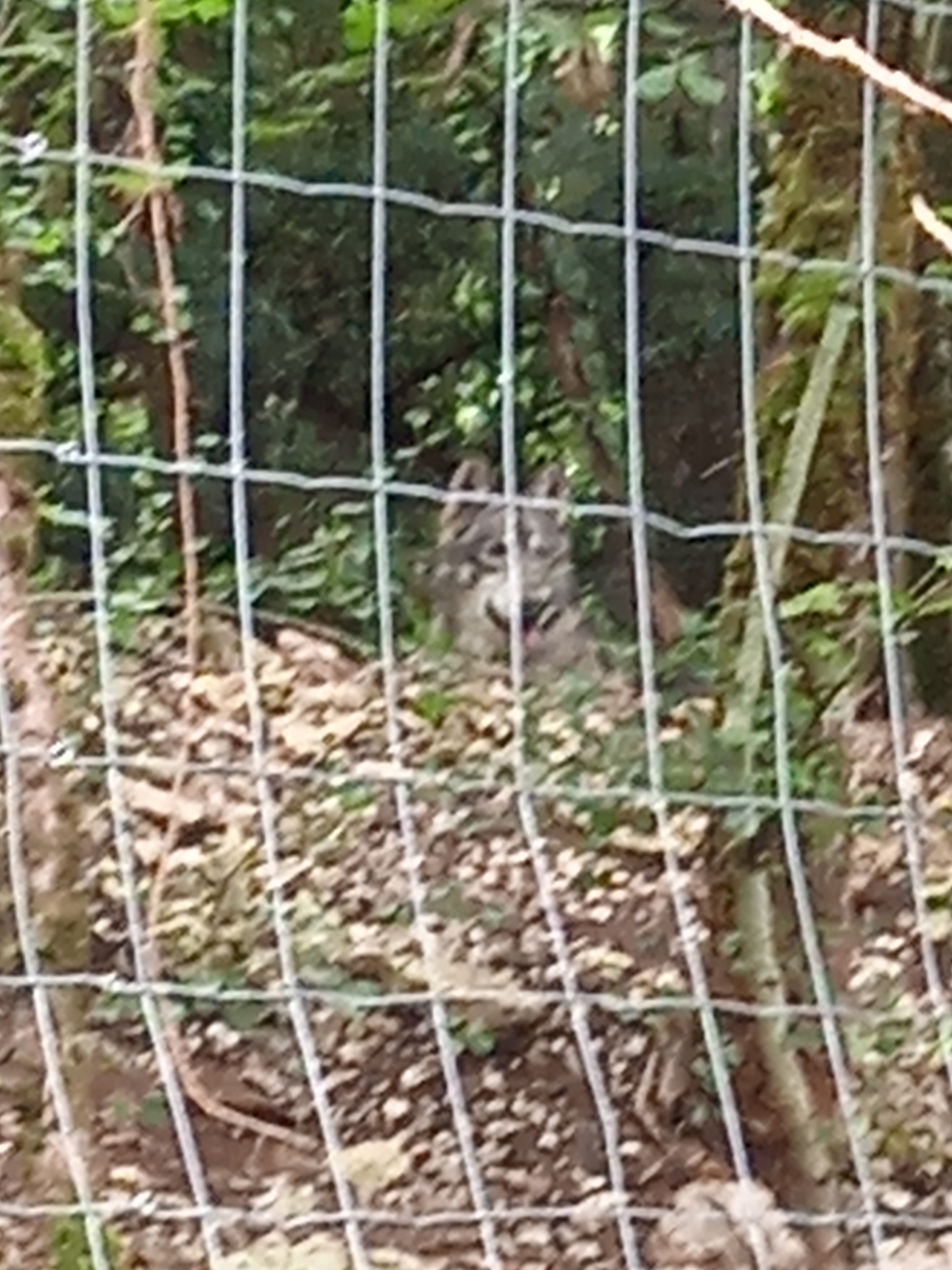 Photo n° 4 de l'avis de anne-marie.a fait le 31/07/2021 à 18:27