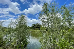 Arboretum Park Wooded Lake Country image