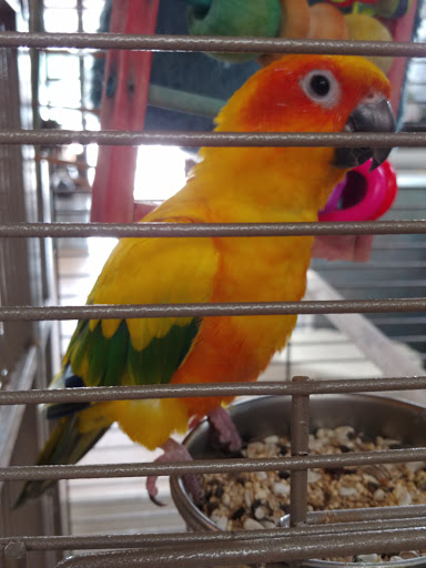 Pet Store «Zookeeper Exotics», reviews and photos, 9012 Research Blvd, Austin, TX 78758, USA