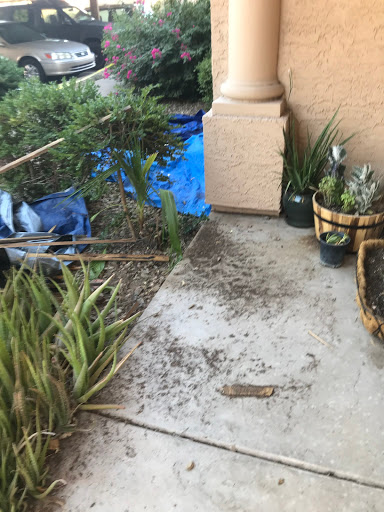 Roofing Contractor «Paramount Roofing», reviews and photos, 4020 E Oasis St #3, Mesa, AZ 85215, USA