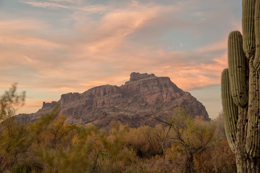 Wild Horse Trailhead Parking